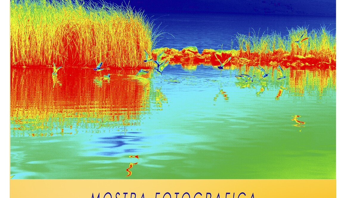 The “Color of Life” through the shots of Mariella Mazzini Migliorini