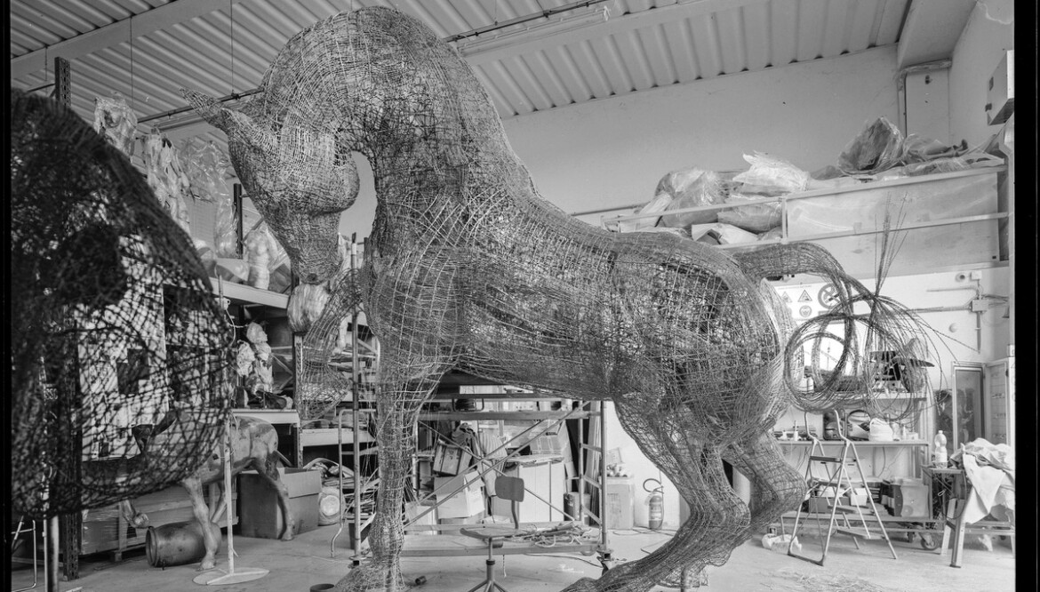 Art. Dall’Osso donates his “Horse” to the City of Castelfiorentino: “Symbol of rebirth and respect”