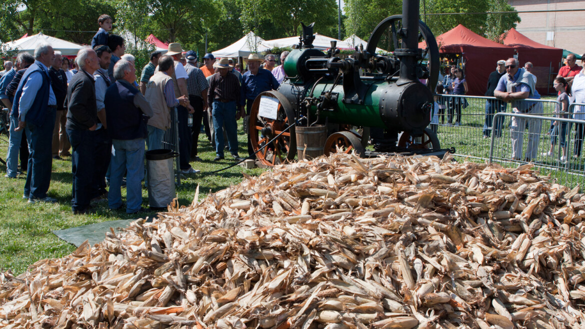 Filiera corta in Festa, ecco Agricola!