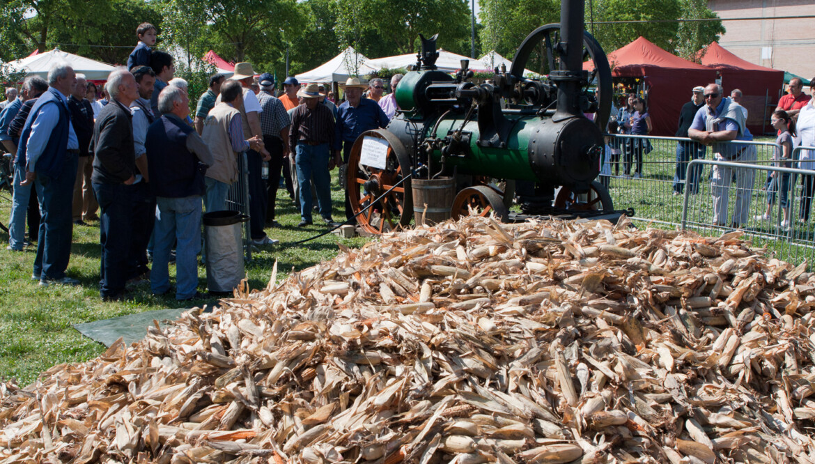 Filiera corta in Festa, ecco Agricola!