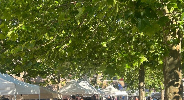 L’Angolo del Tempo, Domenica 4 Ottobre esordio del nuovo mercato a Castelfiorentino